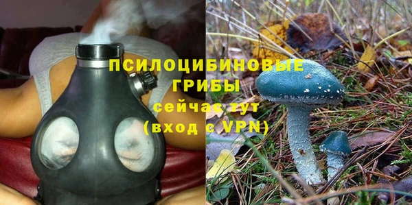 каннабис Баксан